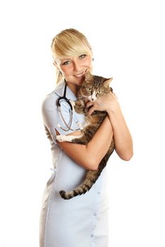 A cat with pet health insurance waits is held by a veterinarian.