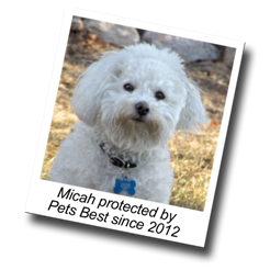 Micah has dog insurance and has been protected by Pets Best since 2012