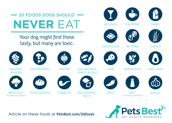 20 Foods Dogs Should Never Eat