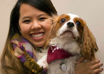 Bentley the dog was released from Ebola quarantine on Nov 1 2014.