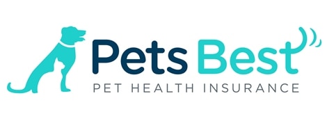 Pets Best Turns 10, Announces Rebranding Initiative