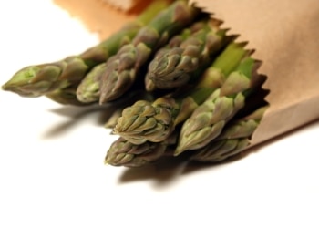 Can dogs eat asparagus? – ways to give your dog asparagus