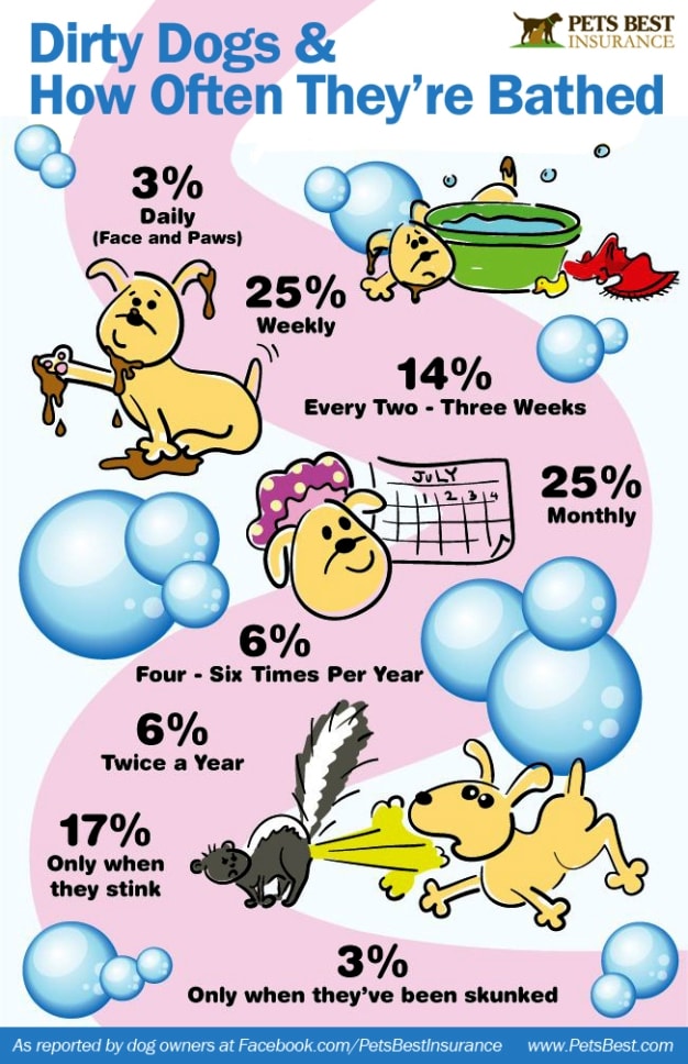 how many times should you bathe your puppy