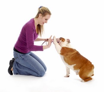 Pet Health,pet health insurance,aspca pet health insurance,fuzzy pet health,pet health pharmacy