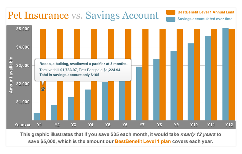 About Pet Insurance | Pets Best