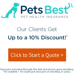 Pets Best Pet Health Insurance for dogs and cats.